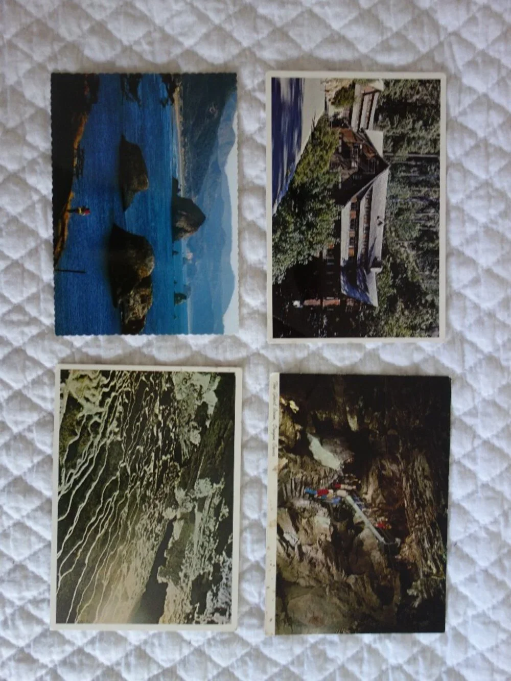 Lot of 14 unused Vntg Oregon Postcards